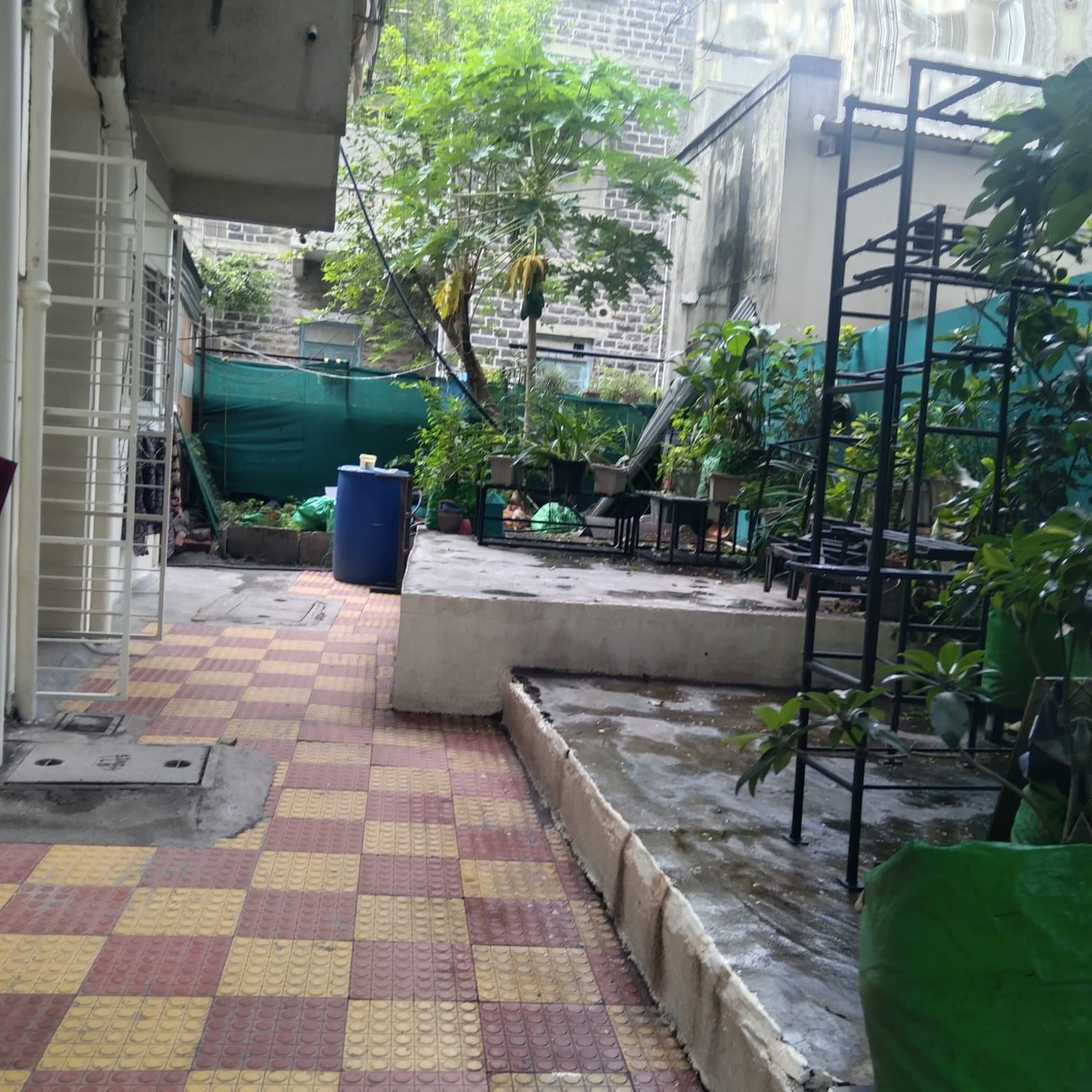 Green, plant-lined courtyard walkway at Vidya Girls PG